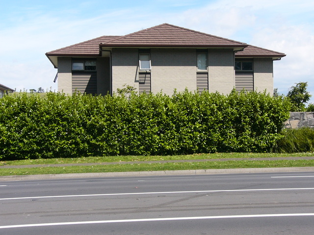 Host family in Auckland New Zealand