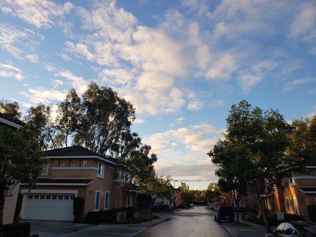 Host family in Los Angeles United States