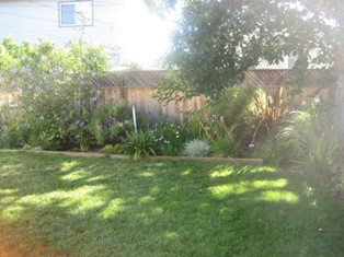 Host family in California United States