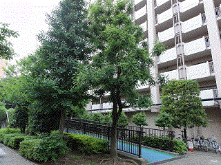 Host family in Tokyo Japan