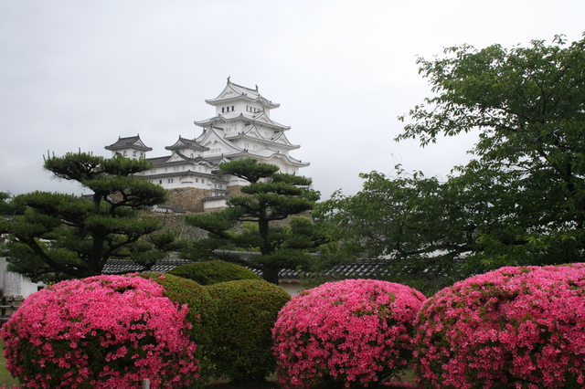 Host family in Hyogo Japan