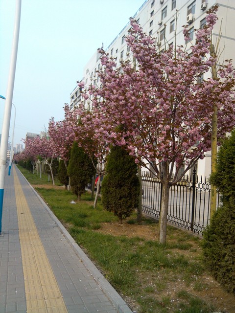 Host family in Shandong China