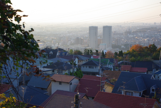 Host family in Hyogo Japan