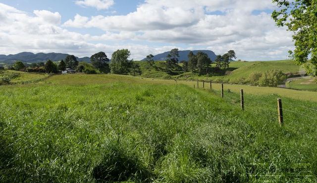 Host family in Waikato/BOP New Zealand