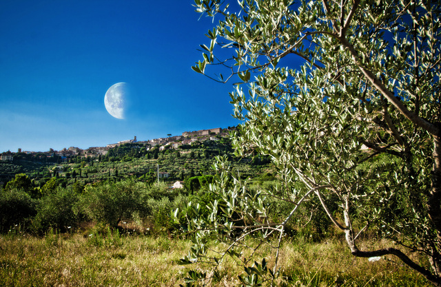 Host family in Tuscany Italy