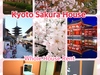 Kyoto- Tatami, English teacher discount photo