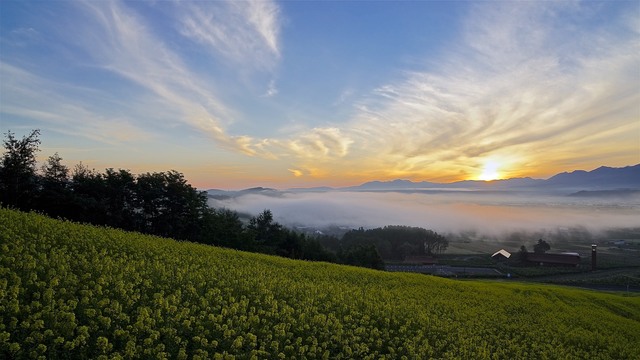 Host family in Hokkaido Japan