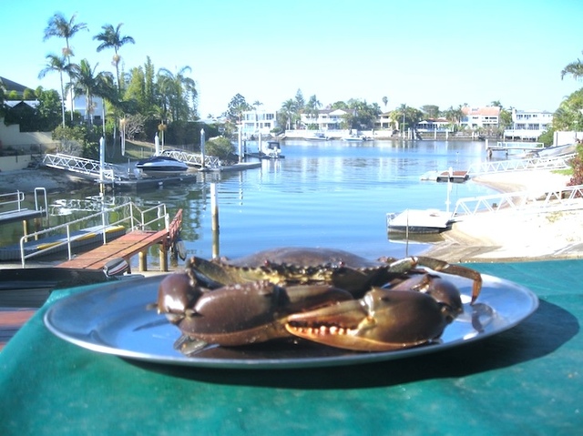 Host family in Gold Coast Australia