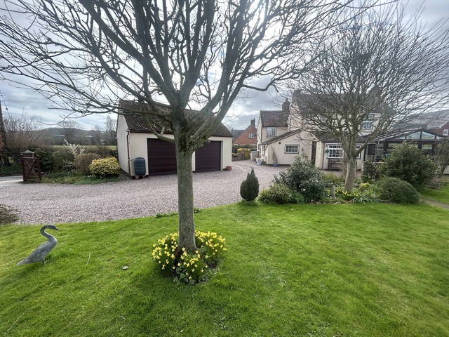 Host family in Midlands United Kingdom