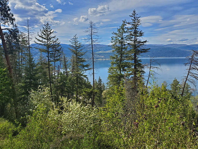 Host family in British Columbia Canada