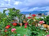 Little Paradise